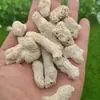 Material de filtración para acuario de hueso de coral de alta calidad, arena de coral al por mayor para mejorar el pH, material de filtro para purificar la calidad del agua, paisajismo de acuario