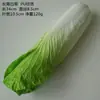 Modelo de Verdura Simulada Lechuga Falsa Repollo Brócoli Hojas Verdes Hojas de Shanghái Modelo de Gabinete Decoración para Casa