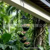 Corrente de Chuva de Lótus Pendurada ao Ar Livre, Vasos de Flores, Suporte de Flores Decorativo para Pátio, Suporte para Vasos de Plantas Verdes Pendurados na Varanda
