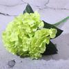 Simulação Hortênsia Casamento Flor de Seda Folha de Dinheiro Cabeça Salão de Casamento Flor Decorativa Rosa Peônia Cabeça Planta de Simulação