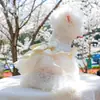 PETCIRCLE Ropa para Mascotas Perros Pequeños Cachorros Mascotas Lindas Otoño Invierno Paseo Diario Falda Cielo Estrellado Vestido de Boda