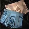 Ropa Interior Masculina Popular de Satén de Lujo Seda Helada de Verano Transpirable y Cómoda Boxer Briefs Pantalones Cortos de Boxeador Juveniles
