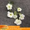 Decoração de Casamento com Flores Brancas, Peônias, Phalaenopsis, Rosas, Arranjos Florais de Teto e Arranjos Florais Pretos para o Salão de Casamento