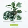 Enfeites de Plantas para Répteis, Caixa de Criação, Paisagismo, Plantas Verdes, Plantas Aquáticas Simuladas, Decoração de Aquário, Grama Plástica Rattan com Base
