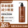 Shampoo anti-quebra de gengibre OEM personalizado controle de oleosidade volumizador anti-coceira grande capacidade processamento ODM com impressão de logotipo