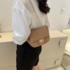 Bolsas de Design de Nicho para Mulheres 2023 Primavera Nova Popular Bolsa Transversal Moda Simples Bolsa de Ombro Bolsa Sela Bolsa Feminina