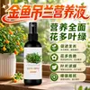 Hojas que no se caen, largo período de floración, solución nutritiva especial para Planta de Pez Dorado, fertilizante foliar para plántulas fuertes, fertilizante para hojas para promover la floración, fertilizante anti-caída de hojas