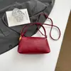 Bolso de Mujer de Nicho Estilo Coreano 2025 Invierno Nuevo Bolso para el Trabajo y el Viaje Bolso de Mano Casual de Aspecto Elegante Simple