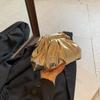 Bolso Plisado Estilo Francés para Mujer 2026 Nuevo de Moda Popular en Internet Bolso Dumpling de Moda Casual Elegante Bolso de Hombro Cruzado