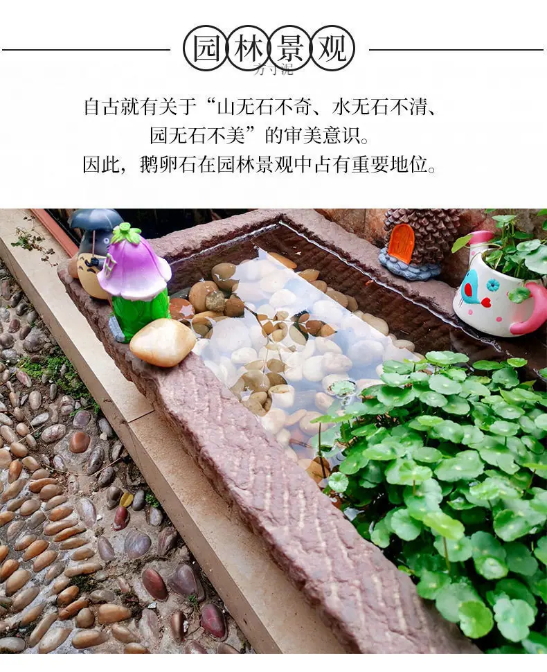 331da6a4-82c5-4025-9f74-990bfe7005e4.jpe