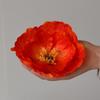 Flor artificial flor de seda flor de amapola cabeza de flor grande 14cm Yu Meiren creativo hecho a mano DIY fotografía fondo de pared de ventana