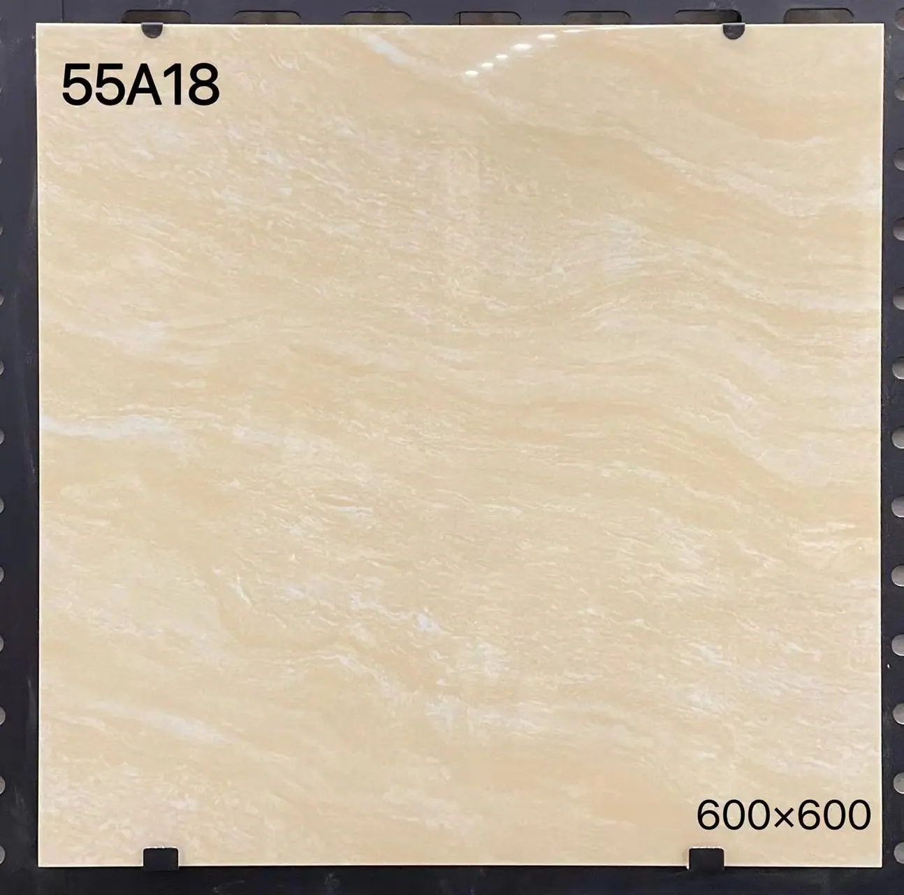 55A18.jpeg