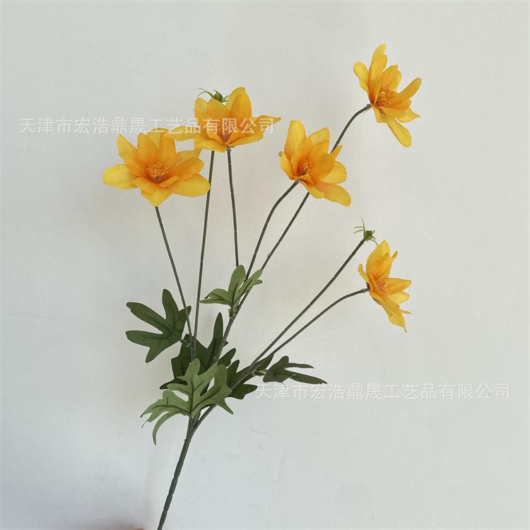 微信图片_202208311711016