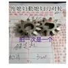 Acessórios para Máquina de Macarrão Elétrica, Máquina de Macarrão, Diversas Engrenagens, Rolamentos, Interruptores, Motor, Acessórios Completos para Máquina