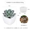 Más de 100 Combinaciones Populares de Plantas Suculentas Artificiales en Maceta de Cerámica para Venta Transfronteriza, Decoración del Hogar Estilo Ins, Bonsáis de Plantas Verdes Falsas, Pequeños Adornos