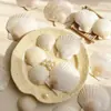 Nuevo Producto para el Festival QixiSerie de Conchas Naturales Empaque de Ramo DIY Accesorios Decorativos de Vieira Blanca Venta al por Mayor