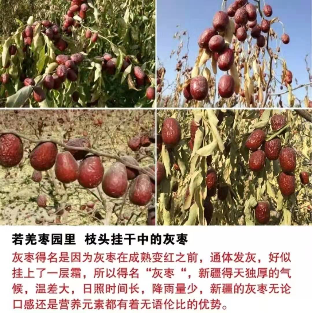 微信图片_20210202105423
