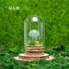 Venta al por mayor de fábrica Piedra Bruta de Cristal Natural Muestra de Mineral para Niños Divulgación Científica Enseñanza Piedra Semipreciosa Adorno de Escritorio para el Hogar