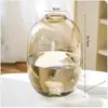 Planta Hidropônica Monstera Planta Verde Purificação do Ar Interno Ave do Paraíso Folha Grande Folhagem Perene de Interior Vaso Tronco Velho
