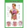 Estructura Promocional Diagrama Sistema Diagrama Esquemático Anatomía Médica Órganos Humanos Cartel de Pared Corazón Órganos Internos Hospital Cuerpo Humano