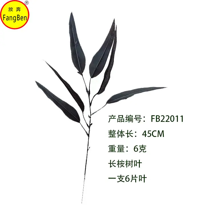 FB22011 桉树叶 (3).jpg