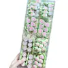 Popular paleta de crema de guayaba estrella corazón flor juguete pinza para el pelo para niños, popular entre las niñas pequeñas, pinza para flequillo pasador