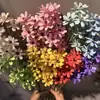 Sementes, Flores, Flores Eternas, Flores Secas Artesanais, Kit de Material DIY, Arranjo de Flores em Vaso, Flores Naturais Reais, Adereços para Fotografia, Plantas Estilo Ins