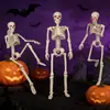 Figura de esqueleto brillante para Halloween 90cm, puede pararse, articulaciones ajustables, decoración de lugar, decoración de ambiente