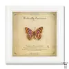 Pintura decorativa de espécime de borboleta verdadeira, moldura de madeira para fotos, faça você mesmo, estilo europeu e americano, mesa, móveis, decoração, presente de aniversário