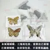 No al por mayor accesorios de fotografía especímenes de mariposa jardín de infantes alas extendidas estado insecto real mariposas mixtas enseñanza mariposas originales colección