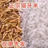 Arroz Gato Diente Arroz de Grano Largo Arroz Fragante Tailandés Arroz Nuevo 2023 Arroz Extra Largo Arroz Sedoso 25kg