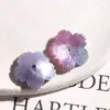 Tigela Gradiente Glitter Fantasia de Verão Flor Pétalas de Flor de Cinco Pétalas Acessórios de Acrílico DIY Adorno de Cabeça Estilo Antigo Acessórios de Cabelo Grampo de Cabelo