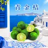 Kumquat Verde de Hainan, disponible para entrega en cantidades de 1/2/3/ 2.5 kg, empacado en cajas coloridas, jugoso, crujiente, dulce, claro y rico en aroma frutal, fruta fresca