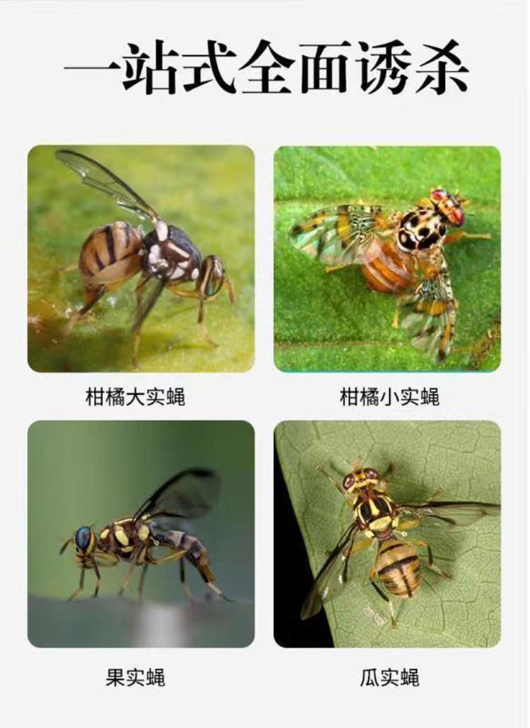 详情7
