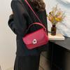 Bolso pequeño cuadrado de estilo extranjero de alta gama 2024 otoño e invierno nuevo moda versátil casual tipo sillín bandolera cruzada para hombro