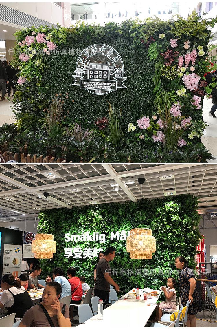 植物墙20180925版_05.jpg
