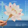 Abanico de Loto Estilo Chino Tradicional, Abanico Cultural y Creativo, Pintura DIY, Estilo Antiguo, Accesorio Creativo para Foto Hanfu, Abanico de Loto Pintado a Mano