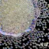 Cuentas de Cristal Bobo Symphony de 5 mm No Porosas Burbuja Hechas a Mano para Joyería DIY Cuentas Redondas Accesorios de Cuentas Sueltas Material de Video