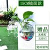 Maceta Acrílica de Pared Hidropónica para Pothos, Botella, Colgante de Pared, Pecera, Decoración de Pared, Restaurante, Sala de Estar, Pared de Fondo, Maceta