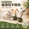 Juguete tipo vaso para gatos con hierba gatera, palo con plumas para gatitos, autoentretenimiento para aliviar el aburrimiento, consume energía, disponible para dropshipping
