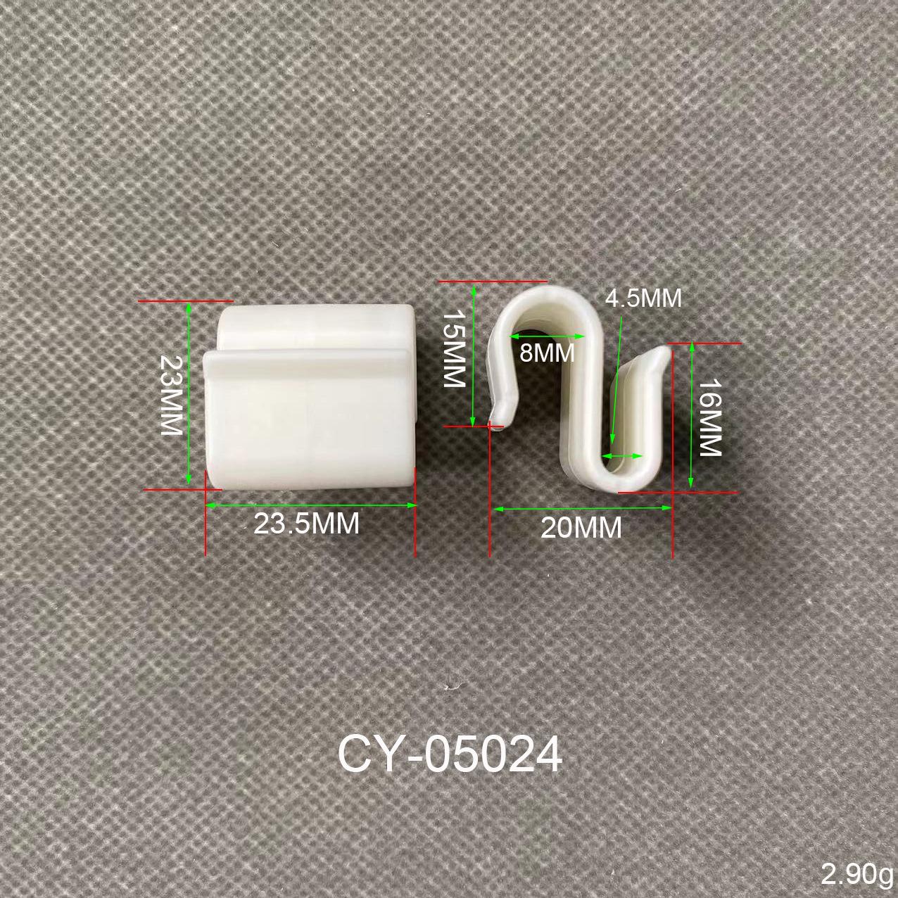 CY05024.jpg