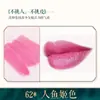 Bairo polvo de labios diy casero planta color primario polvo hecho a mano superfino color polvo material marca número de color polvo que cambia de color