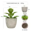 Planta en Maceta Artificial Mini Transfronteriza Hecha a Medida Adornos de Escritorio Bonsái Suculento de Simulación Flor Artificial Planta Verde Pulpa Suculenta Planta en Maceta