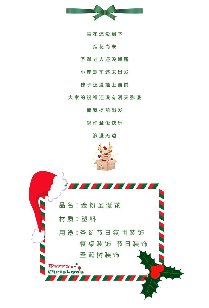 圣诞装饰-详情-副本_02.jpg