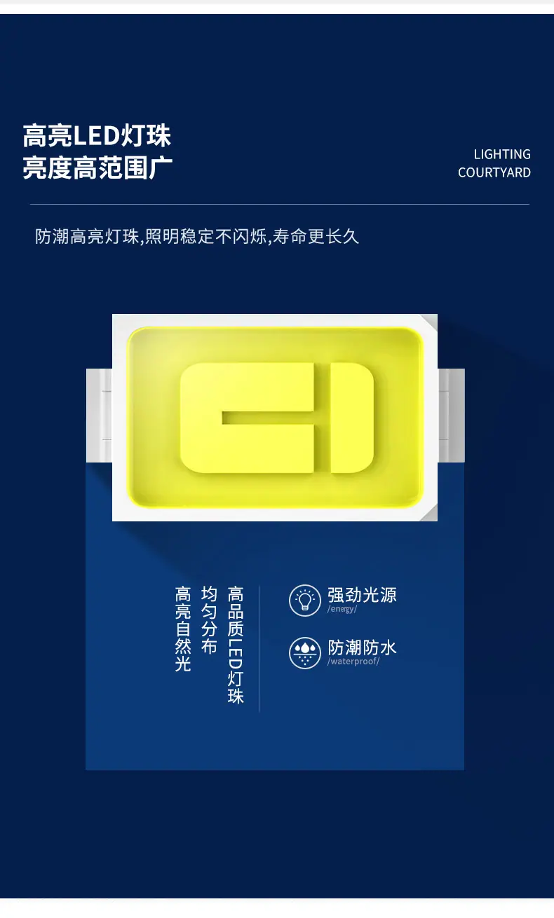 白_06.jpg
