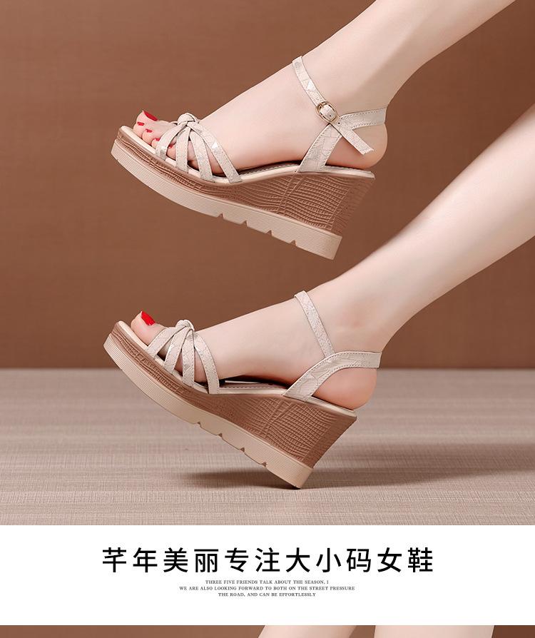 杏色_14.jpg
