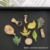 Acessórios de Fivela de Flor de Folha Destacável para Sapato Tamanco DIY Transfronteiriço, Fivela Decorativa Criativa de Planta da Moda Atacado