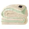 Manta de invierno nueva 2026, engrosada y cálida, adecuada para primavera y otoño, tamaño individual para dormitorios, y se puede usar en todas las estaciones con aire acondicionado