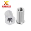 Tuerca Remache Pasador Pasador Acero Inoxidable 416 Endurecido Agujero Ciego Agujero Pasante BSO4SO4M2M2.5M4M6 Acero Inoxidable