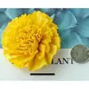 Paquete de Materiales Navideños Cabeza de Flor Perforada Cabeza de Crisantemo Estrella Corona de Flores Hecha a Mano Marco de Fotos Papel para Pintar Abanico de Papel Accesorios para Manualidades
